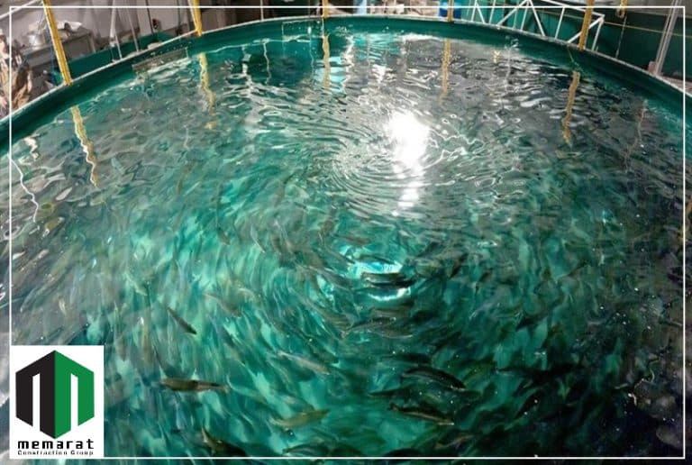 ساخت استخر پرورش ماهی در منزل-ممارت